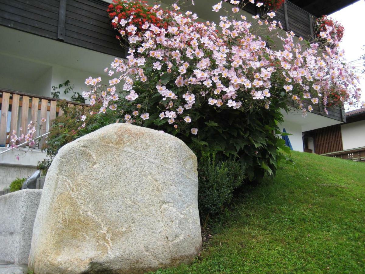 Appartements Bachler Brixen im Thale Εξωτερικό φωτογραφία